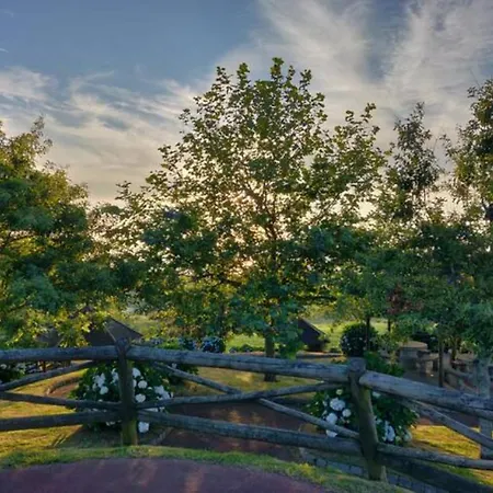 Apartman New Park In *