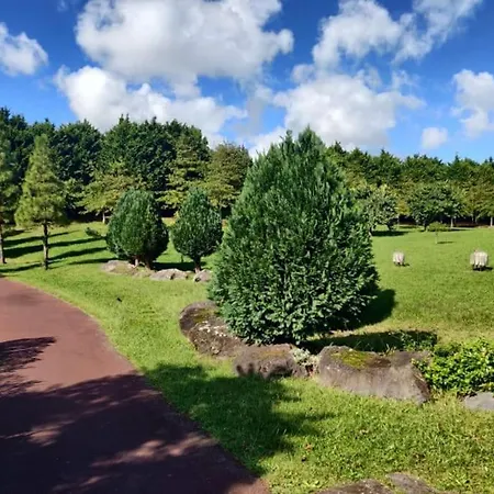 New Park In شقة Ponta Delgada